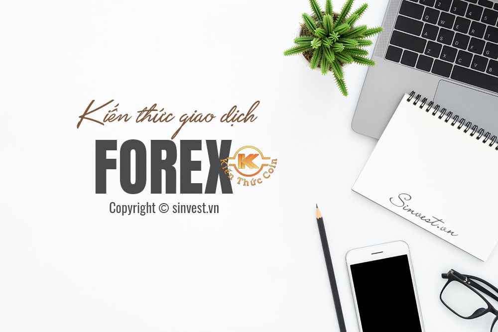 Kiến thức cho người mới bắt đầu tìm hiểu về Forex
