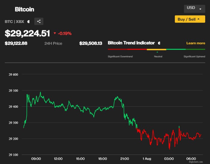 Giá Bitcoin ngày 1/8: Tiếp tục lao dốc, xuống dưới 30.000 USD