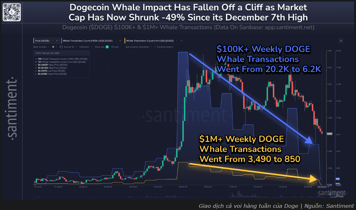 Cá voi ít hoạt động, giá DOGE sẽ biến động thế nào?