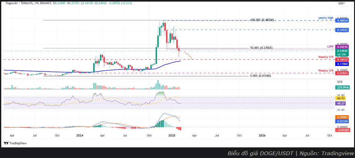 Cá voi ít hoạt động, giá DOGE sẽ biến động thế nào?