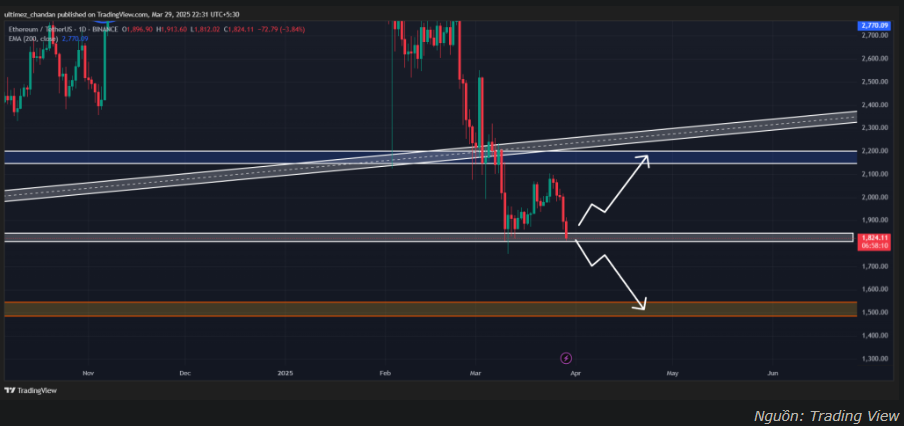 58 triệu USD đổ vào Ethereum – Làn sóng cá voi mở đầu cho chu kỳ tăng giá?