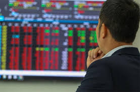 Những cổ phiếu cần chú ý ngày 15/1/2024 : STB , DPR , KBC