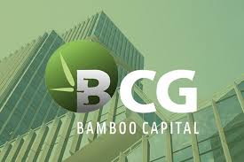 Bamboo Capital (BCG) chia sẻ về áp lực lãi trái phiếu, tự tin mang về 650 tỷ đồng lợi nhuận năm 2023