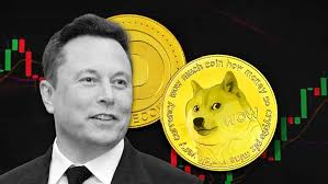 Memecoin 2025: Khi Danh Tiếng Không Còn Là Chìa Khóa Thành Công