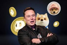 Elon Musk So Sánh Memecoin Với Sòng Bạc: Lời Cảnh Báo Cho Nhà Đầu Tư ?