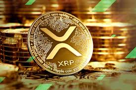XRP Không Phải Là Con Ngựa Tốt Nhất Trong Cuộc Đua: Các Chỉ Số Chính Tiết Lộ