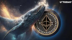 Cá Voi Mua Mạnh: Giá Ether (ETH) Sẽ Bứt Phá Sau Nhiều Tháng Suy Yếu