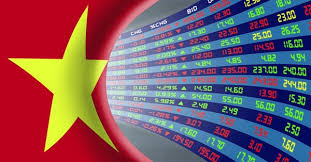 Những cổ phiếu cần chú ý ngày 3/6/2024 : BMP , TMX , HHV