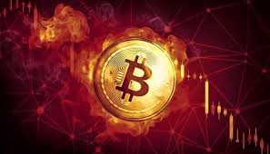 Công Ty Khai Thác Bitcoin Rhodium Nộp Đơn Xin Phá Sản Tại Texas: Tác Động Đến Thị Trường Crypto