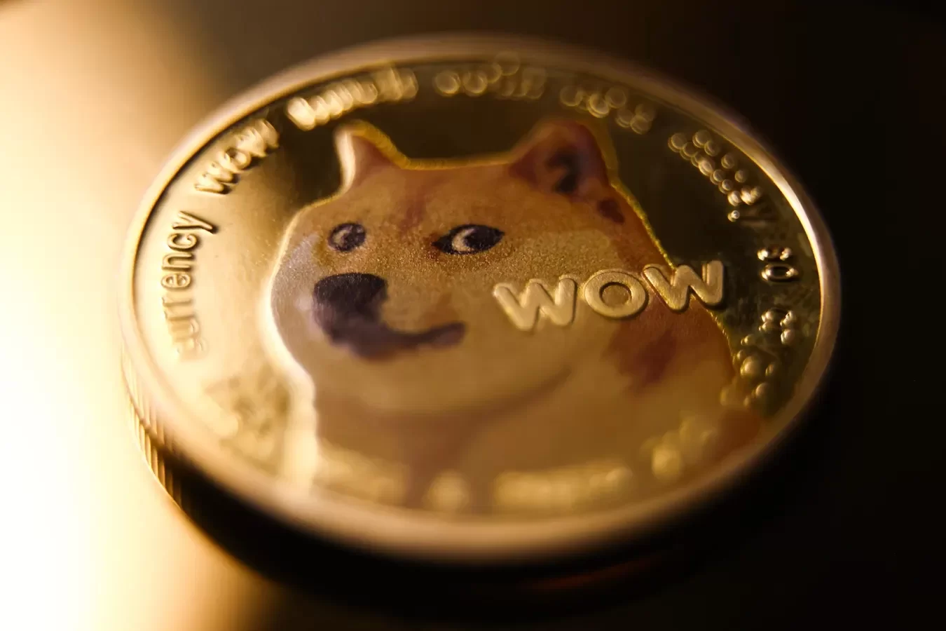 Dogecoin leo dốc 20% khi cá voi thu mua, Galaxy kỳ vọng giá DOGE đạt 1 USD.